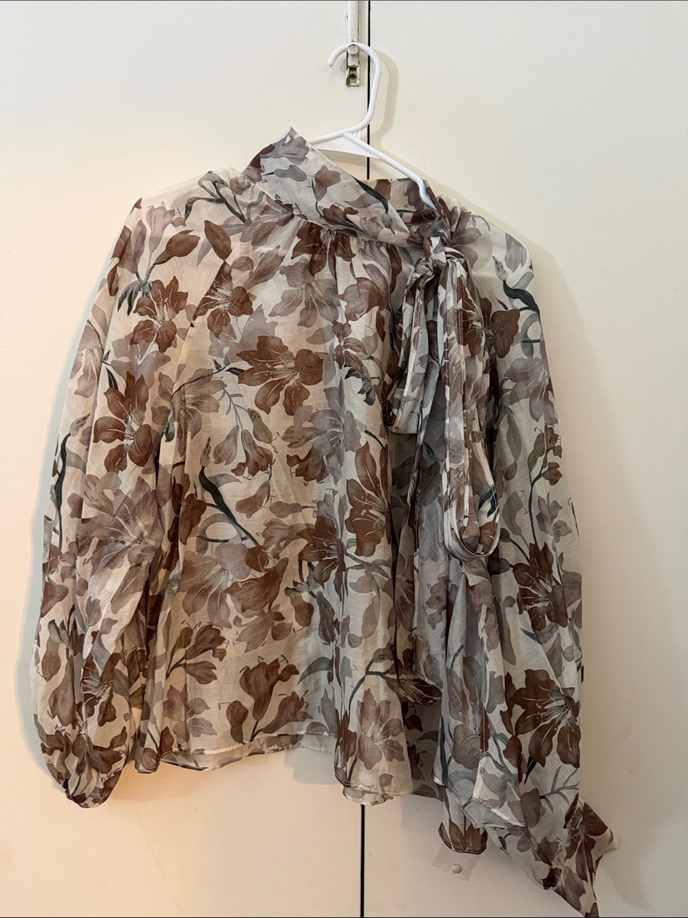 Astr Sheer Floral Bow Blouse in Cream and Brown